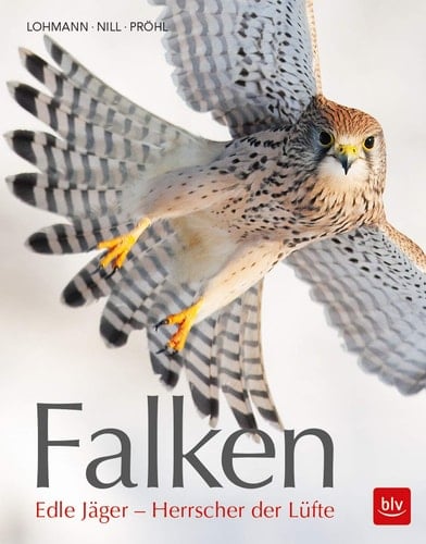 Falken Edle Jäger - Herrscher der Lüfte