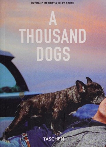 1000 Dogs