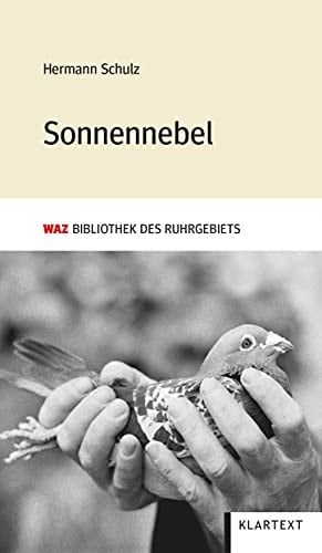 Sonnennebel Roman