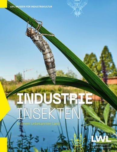 IndustrieInsekten In einem unbekannten Land