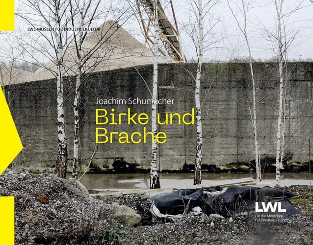 Birke und Brache die Birkenwälder auf den Industriebrachen des Ruhrgebiets (2015-2023)
