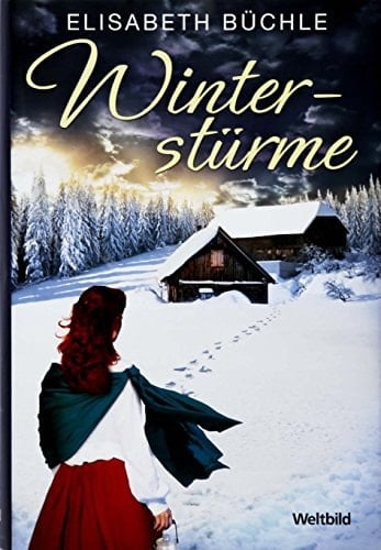 Winterstürme Roman