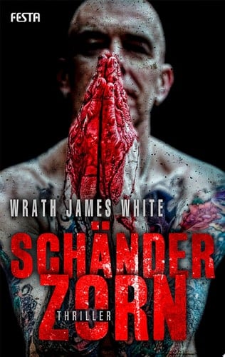Schänderzorn Thriller