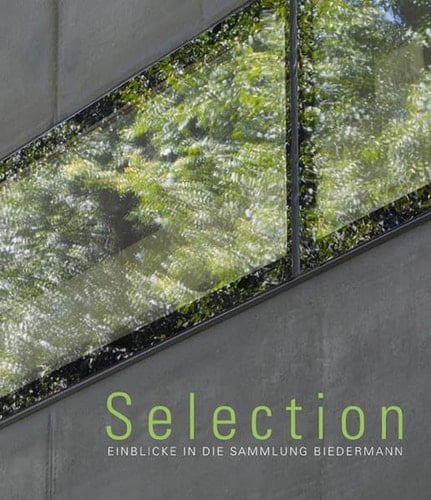 Insights into the Biedermann Collection