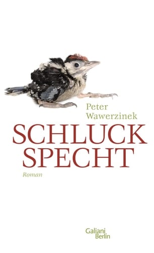 Schluckspecht Roman