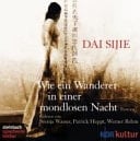 Wie ein Wanderer in einer mondlosen Nacht Roman