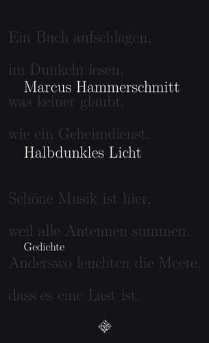 Halbdunkles Licht Gedichte