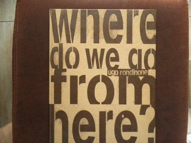 Where do we go from here? Biennale Sao Paolo 1996 Katalog