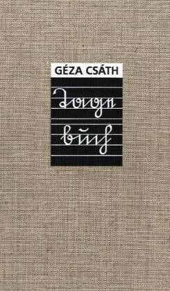 Tagebuch 1912 - 1913