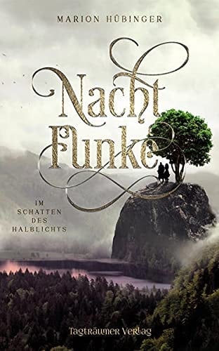 Nachtfunke 2 Im Schatten des Halblichts