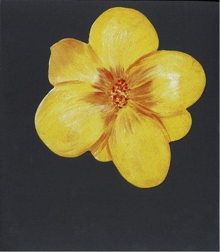 Jörg Immendorff For All Beloved in the World