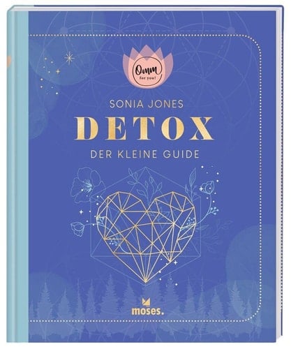 Detox der kleine Guide