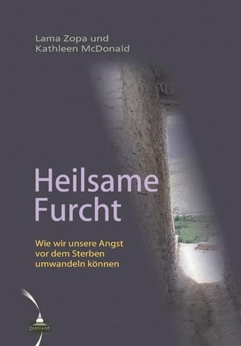 Heilsame Furcht wie wir unsere Angst vor dem Sterben umwandeln können