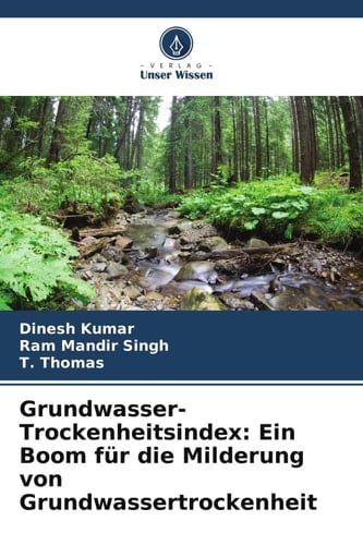 Grundwasser-Trockenheitsindex: Ein Boom für die Milderung von Grundwassertrockenheit (German Edition)
