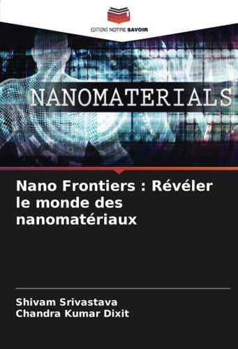 Nano Frontiers : Révéler le monde des nanomatériaux (French Edition)