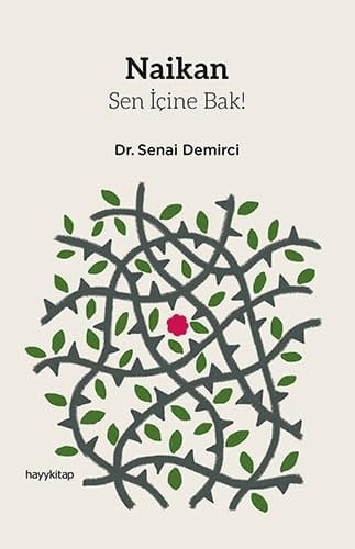 Naikan - Sen icine bak