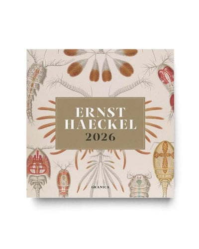 Ernst Haeckel 2026, Calendario de Pared