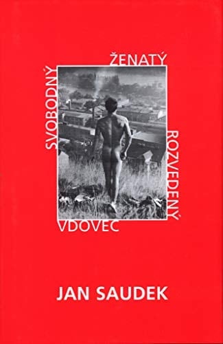 Svobodny, Zenaty, Rozvedeny, Vdovec