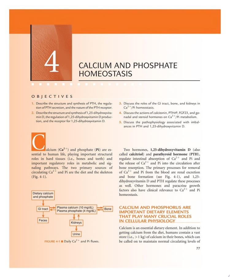 The Mosby Physiology Monograph Series - Endocrine & Reproductive Physiology