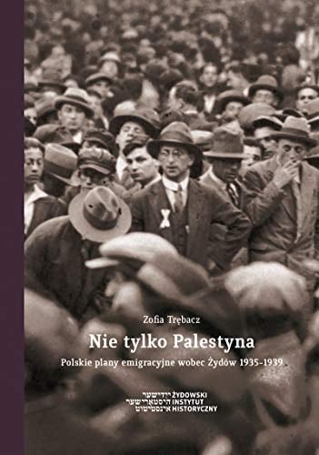 Nie tylko Palestyna polskie plany emigracyjne wobec Żydów 1935-1939