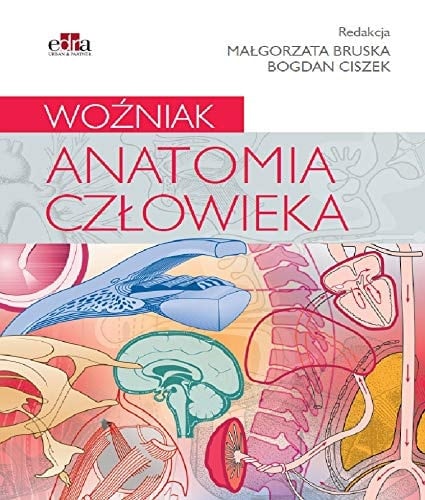 Woźniak anatomia człowieka