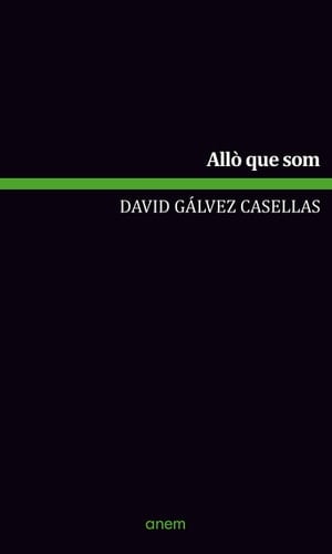 Allò que som