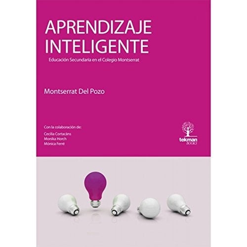 Aprendizaje inteligente educación secundaria en el Colegio Montserrat