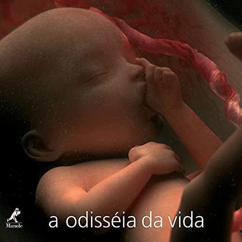 A Odisseia da Vida