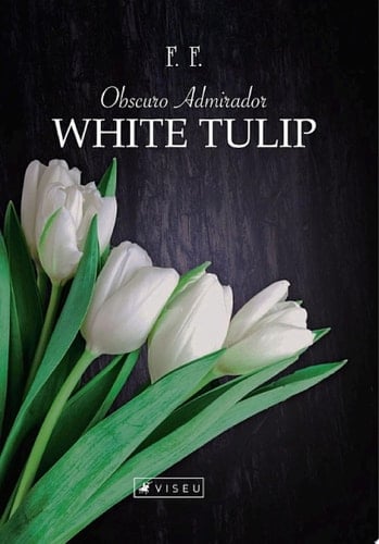 Obscuro admirador White tulip