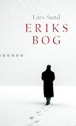 Eriks bog roman