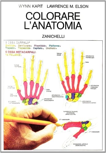 Colorare l'anatomia