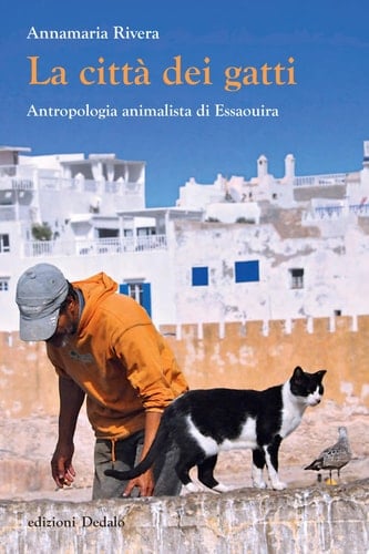La città dei gatti Antropologia animalista di Essaouira