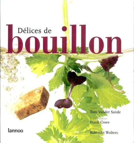 Délices de bouillon