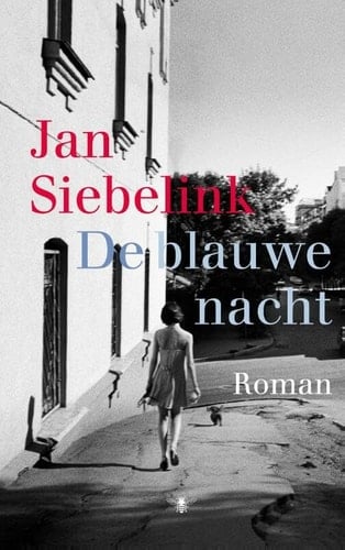 De blauwe nacht: roman (Dutch Edition)
