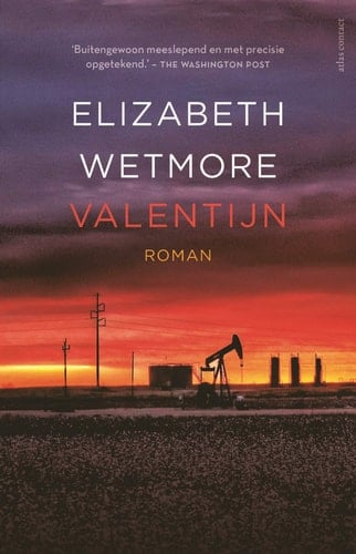 Valentijn roman