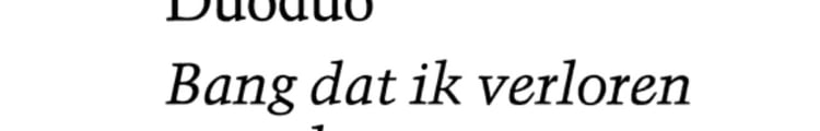 Bang dat ik verloren raak