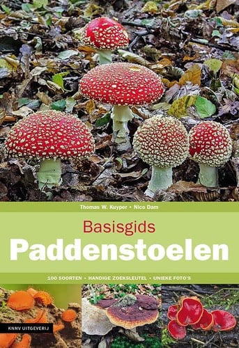 Basisgids paddenstoelen