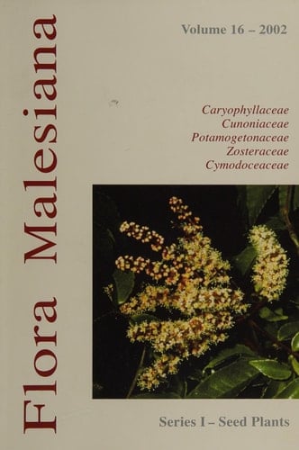 Caryophyllaceae