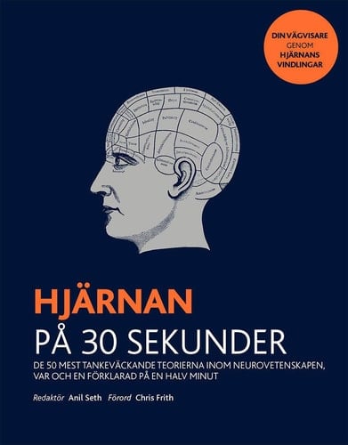 Hjärnan på 30 sekunder