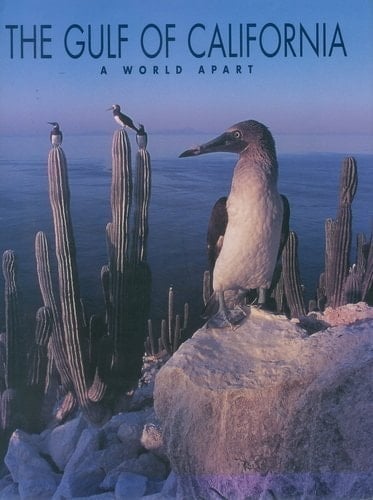 The Gulf of California A World Apart