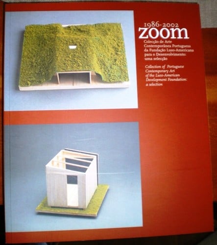 Zoom