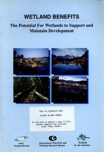 Wetland benefits: The potential for wetlands to support and maintain development ([IWRB special publication)
