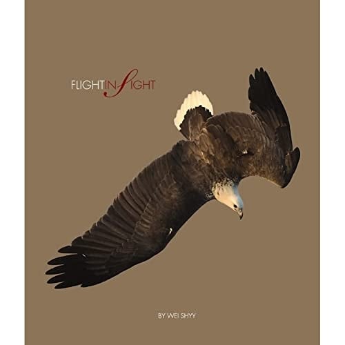 Flight Insight