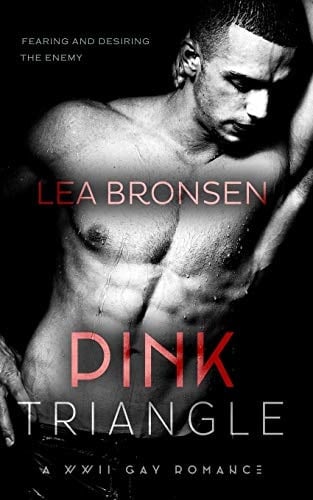 Pink Triangle A WWII Gay Romance