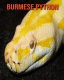 Burmese Python Beautiful Pictures & Interesting Facts Children Book About Burmese Python
