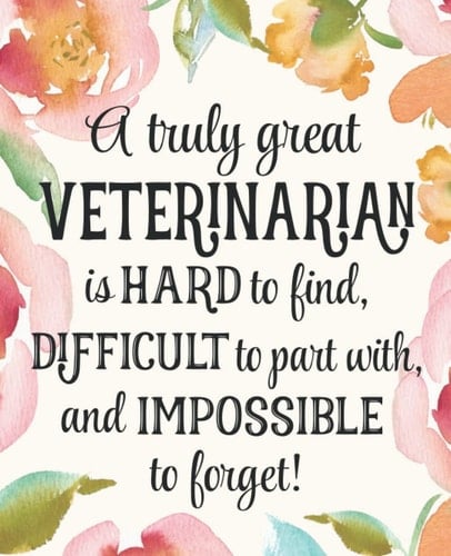 Veterinarian Gift: An Appreciation Thank You, Retirement, or Going Away Present for Women Friends, Family or Coworkers