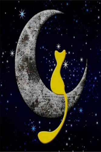 Galaxy Cat and Moon Notebook: Lined Journal