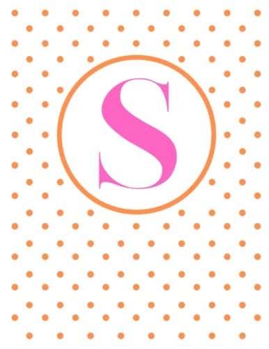 S Initial Notebook