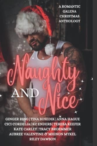 Naughty and Nice: A Romantic Galena Christmas Anthology