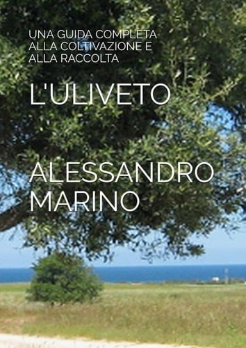 L'ULIVETO: UNA GUIDA COMPLETA ALLA COLTIVAZIONE E ALLA RACCOLTA (Italian Edition)